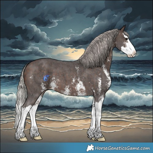 Horse Color:Silver Brown Sabino Splash 