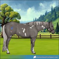 Horse Color:White Spotted Silver Black Tobiano 