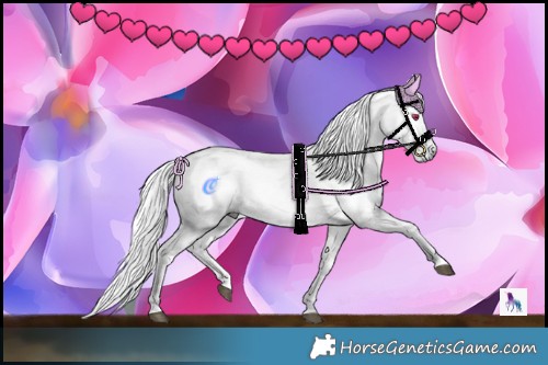 Horse Color:Palomino Chinchilla Ice Tobiano 