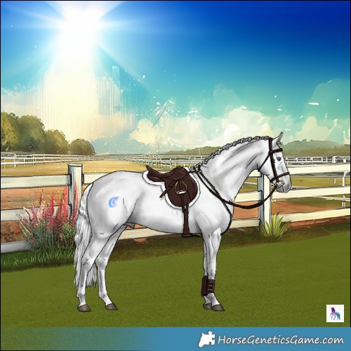 Horse Color:Palomino Chinchilla Ice Tobiano 