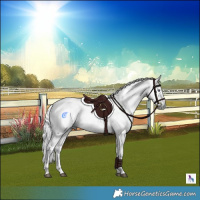 Horse Color:Palomino Chinchilla Ice Tobiano 