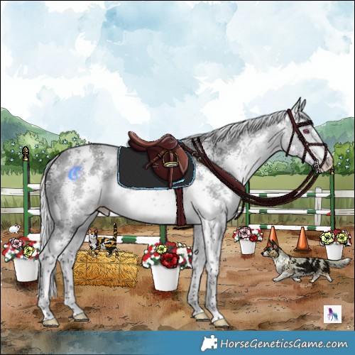 Horse Color:Silver Bay Chinchilla Sabino 