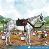 Horse Color:Silver Bay Chinchilla Sabino
