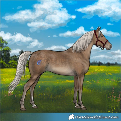 Horse Color:Silver Smoky Black 