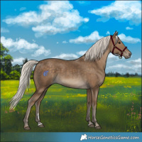 Horse Color:Silver Smoky Black 