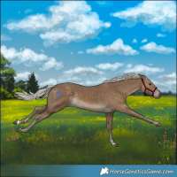 Horse Color:Silver Smoky Black 