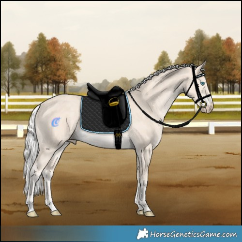 Horse Color:Silver Smoky Creme Rabicano 