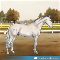 Horse Color:Silver Smoky Creme Rabicano 