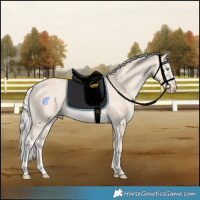 Horse Color:Silver Smoky Creme Rabicano 