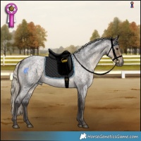 Horse Color:Silver Smoky Blue Roan 