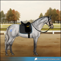 Horse Color:Silver Smoky Blue Roan 
