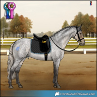 Horse Color:Silver Smoky Blue Roan 