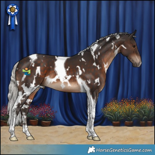 Horse Color:White Spotted Silver Brown Tobiano 