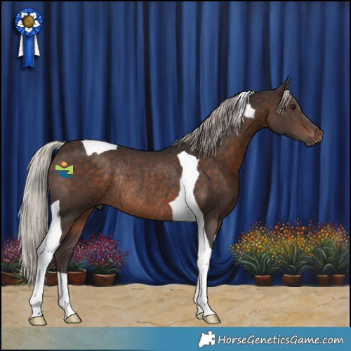 Horse Color:Silver Brown Tobiano Rabicano 