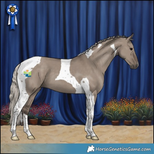 Horse Color:Silver Grullo Tobiano 