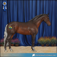 Horse Color:Silver Brown Tobiano