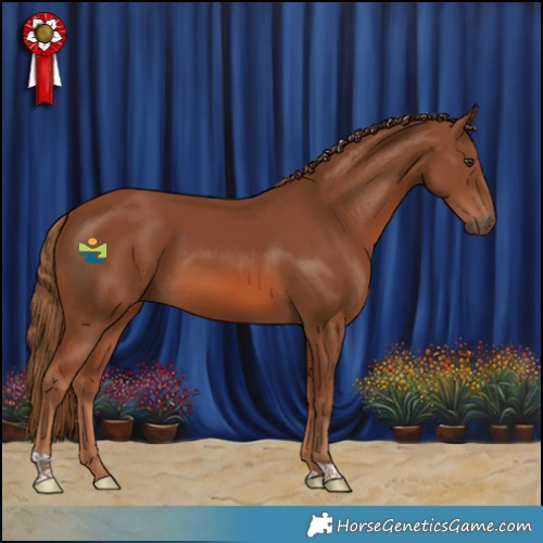 Horse Color:Chestnut 