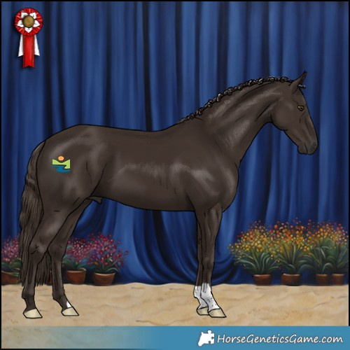 Horse Color:Liver Chestnut 