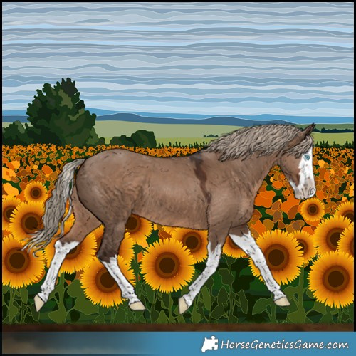 Horse Color:Liver Red Dun Splash 