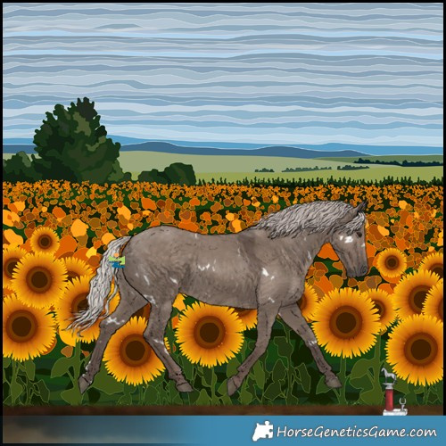 Horse Color:White Spotted Silver Grullo 
