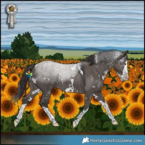 Horse Color:White Spotted Smoky Grullo Splash 