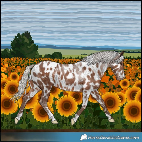 Horse Color:White Spotted Silver Black Near Leopard 