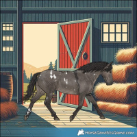 Horse Color:White Spotted Smoky Grullo 