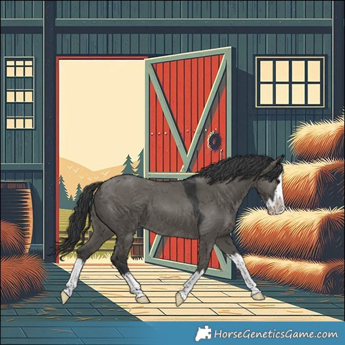 Horse Color:Grullo Splash 