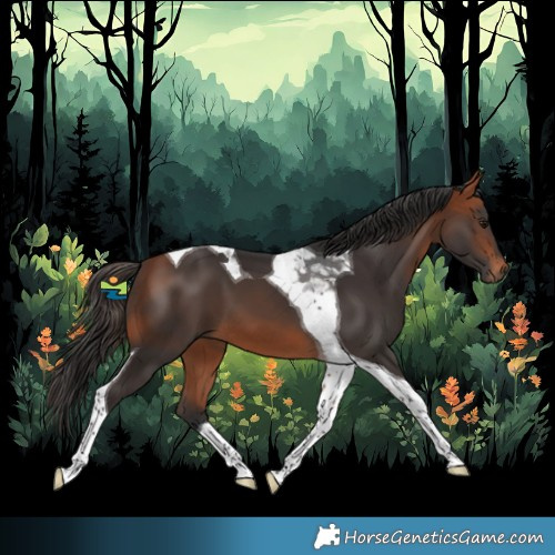Horse Color:Bay Tobiano 