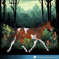 Horse Color:Bay Tobiano 