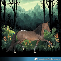 Horse Color:Bay Dun Tobiano Brindle 