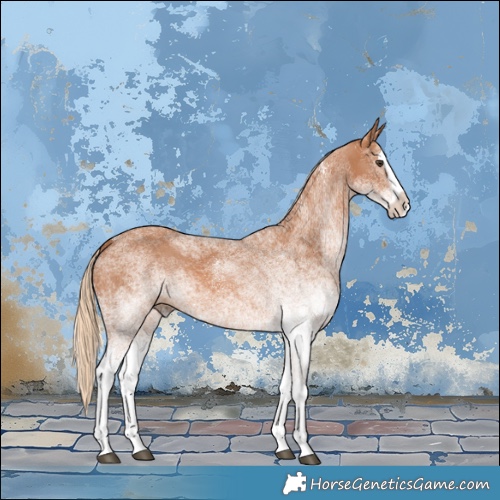 Horse Color:White Spotted Chestnut Splash 