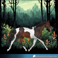 Horse Color:Bay Tobiano 