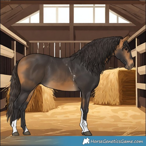 Horse Color:Buckskin Tobiano 