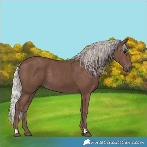Horse Color:Silver Black 