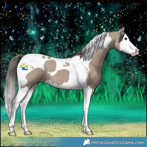 Horse Color:Liver Red Dun Mushroom Splash Tobiano 