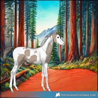 Horse Color:Liver Red Dun Mushroom Splash Tobiano 