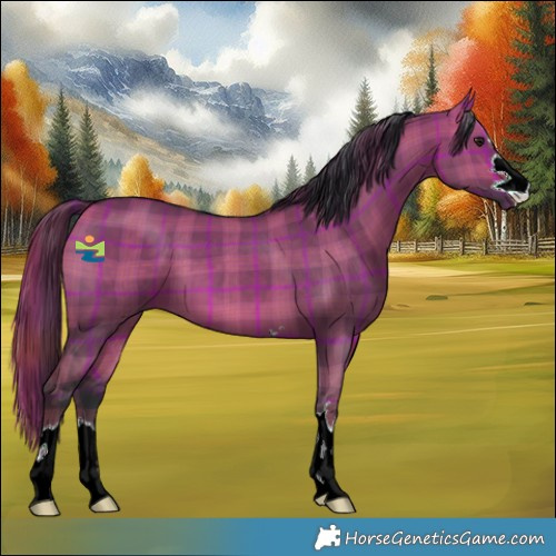 Horse Color:Plaid  Bay Dun 