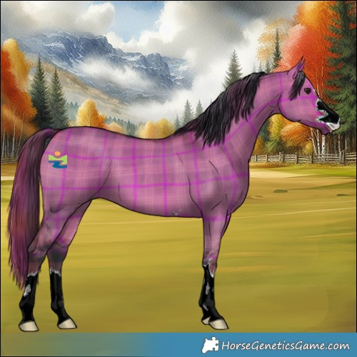 Horse Color:Plaid  Bay Dun 