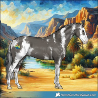 Horse Color:Grullo Sabino 
