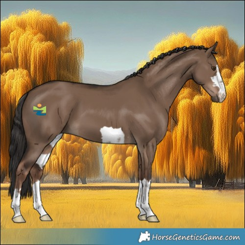 Horse Color:Liver Red Dun 