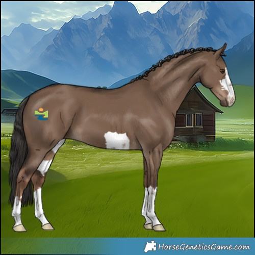 Horse Color:Liver Red Dun 