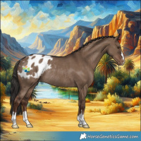 Horse Color:Liver Red Dun Appaloosa Rabicano 