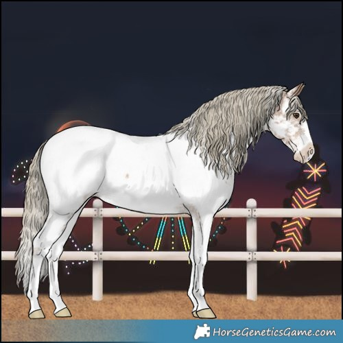 Horse Color:Chestnut Mushroom Sabino Near Fewspot 
