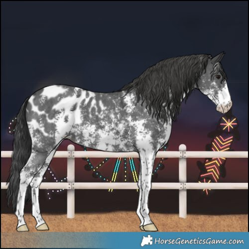 Horse Color:Black Sabino Varnish 