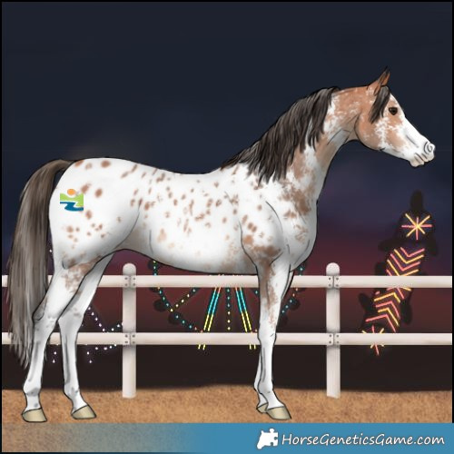 Horse Color:Bay Sabino Blanket 