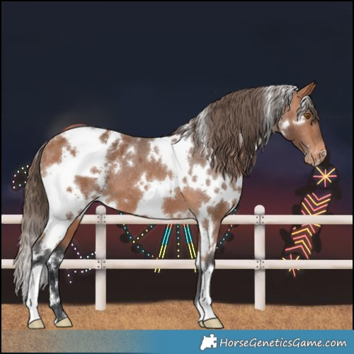 Horse Color:White Spotted Bay Mushroom Varnish 