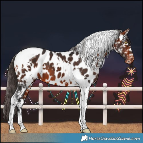 Horse Color:White Spotted Bay Tobiano Blanket 