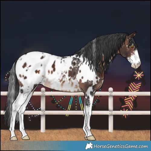 Horse Color:White Spotted Bay Sabino Blanket 