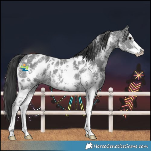 Horse Color:Black Sabino Blanket 
